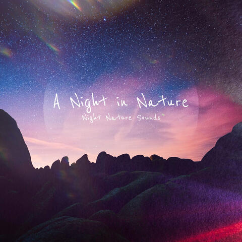 A Night in Nature
