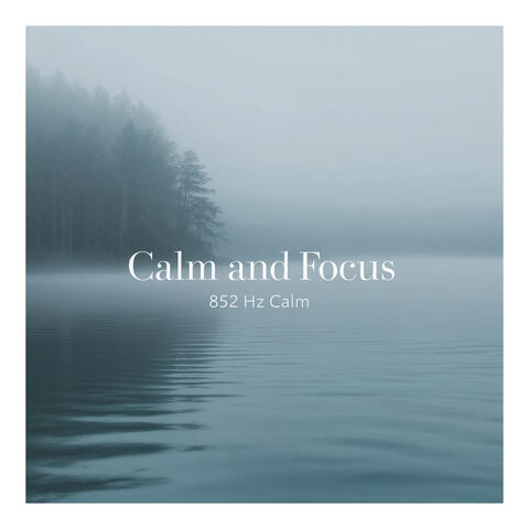 Calm and Focus