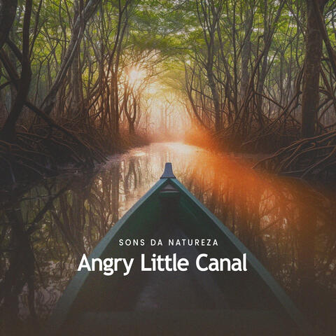 Angry Little Canal