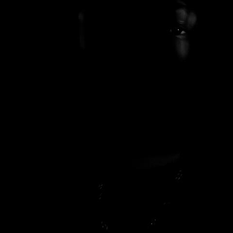 Into The Dark
