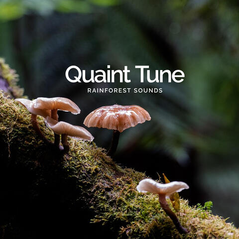 Quaint Tune