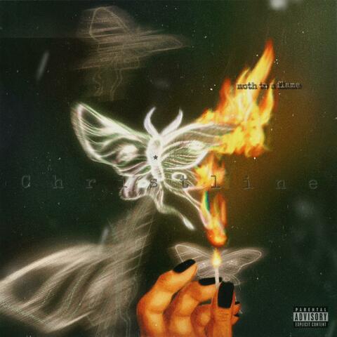 moth to a flame