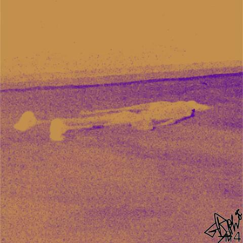 bathe