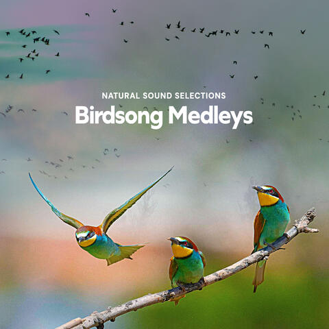 Birdsong Medleys