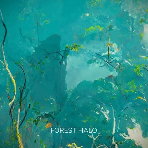 Quietly Into The Night