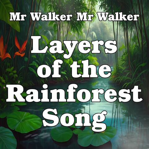 Layers of the Rainforest Song