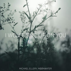 I Won't Give Up On You