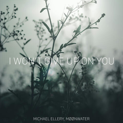 I Won't Give Up On You