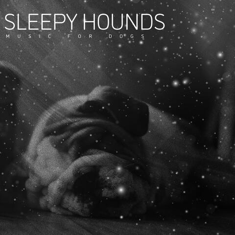 Sleepy Hounds