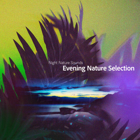 Evening Nature Selection