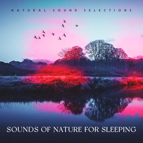 Sounds of Nature for Sleeping