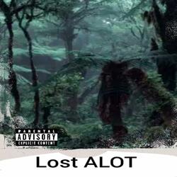 Lost ALOT