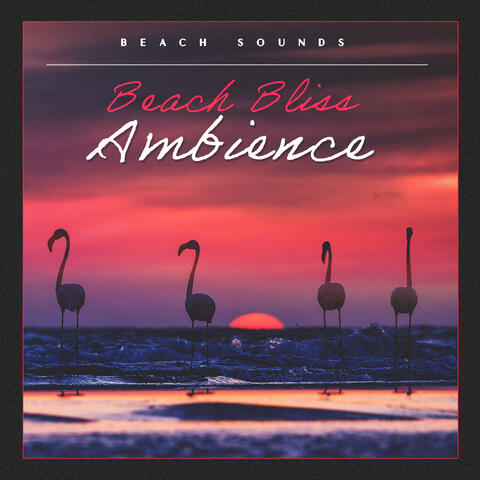Beach Bliss Ambience