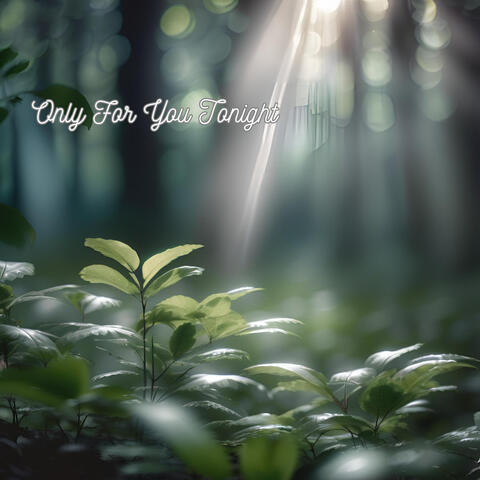 Only For You Tonight