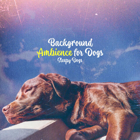 Background Ambience for Dogs