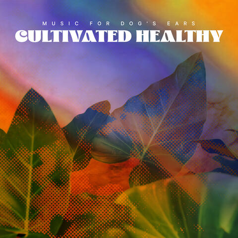 Cultivated Healthy