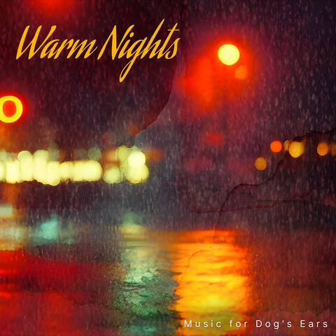 Warm Nights