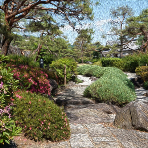 The Oasis
