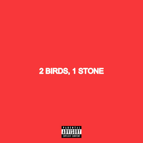 2 BIRDS, 1 STONE