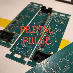 Primal Pulse