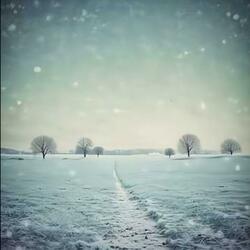 北方的雪吹不到南方