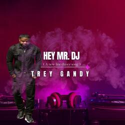 Hey Mr. DJ