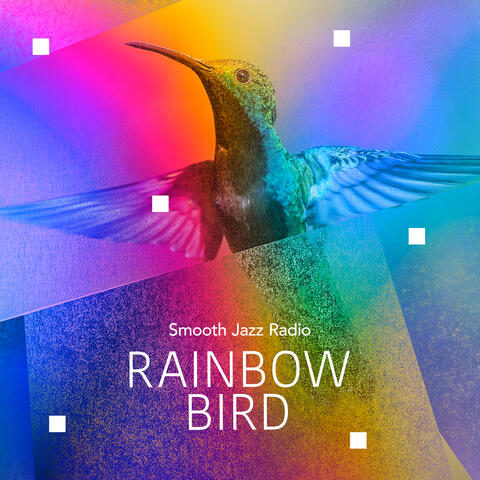 Rainbow Bird