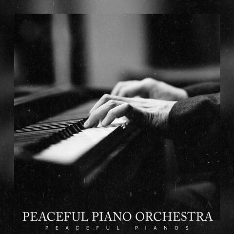 Peaceful Piano Orchestra