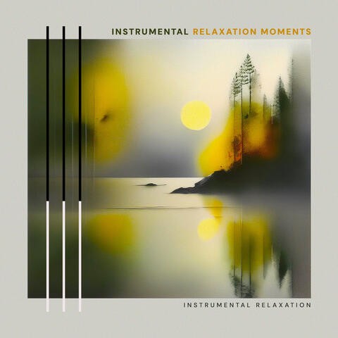 Instrumental Relaxation Moments