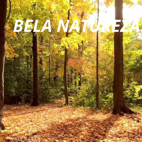 Bela natureza
