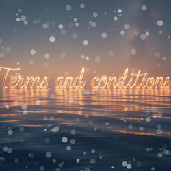 Terms and Conditions