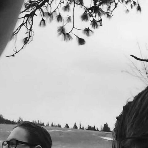 Whiskey in the Jar
