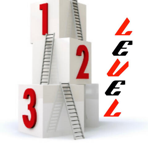 Level