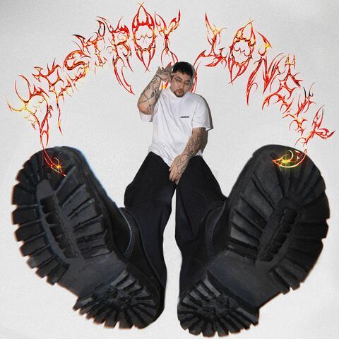 Destroy Lonely