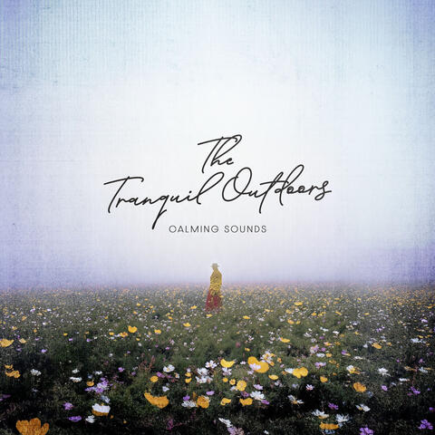 The Tranquil Outdoors