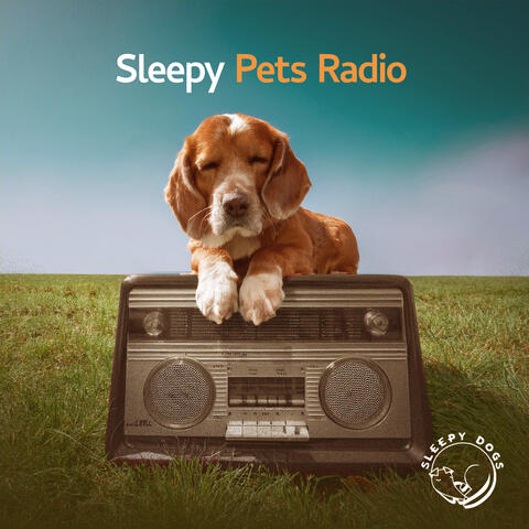Sleepy Pets Radio