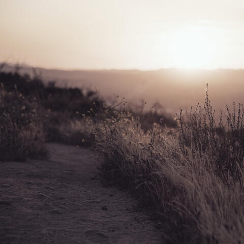 Three Reasons for Tranquil Days