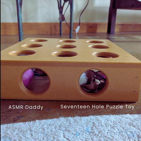 Seventeen Hole Puzzle Toy