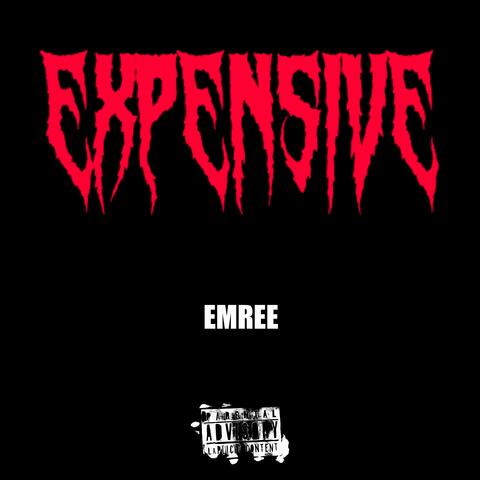 EXPEN$IVE