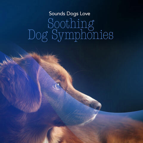 Soothing Dog Symphonies