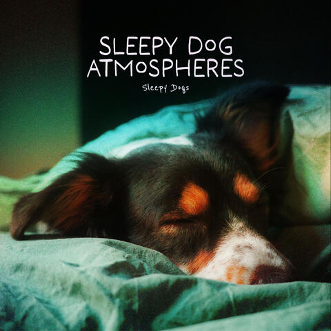 Sleepy Dog Atmospheres