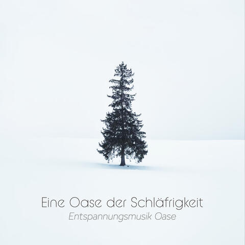 Eine Oase der Schläfrigkeit