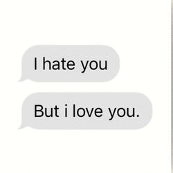 I Hate You But I Love You