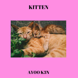 Kitten