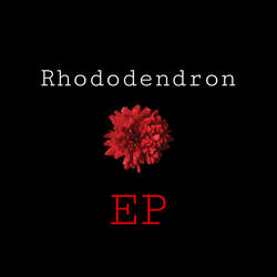 Is u a Bop? (bIzzy Pt. ll)