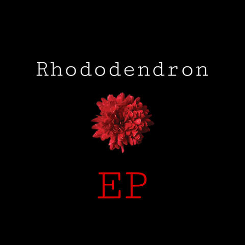 Rhododendron