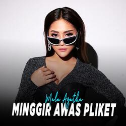 Minggir Awas Pliket