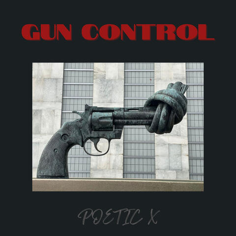 GUN CONTROL