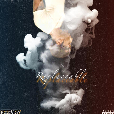 Replaceable