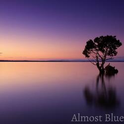 Almost Blue